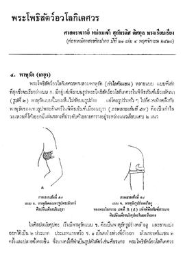 พระโพธิสัตว์อวโลกิเตศวร [ตอนที่ 21]